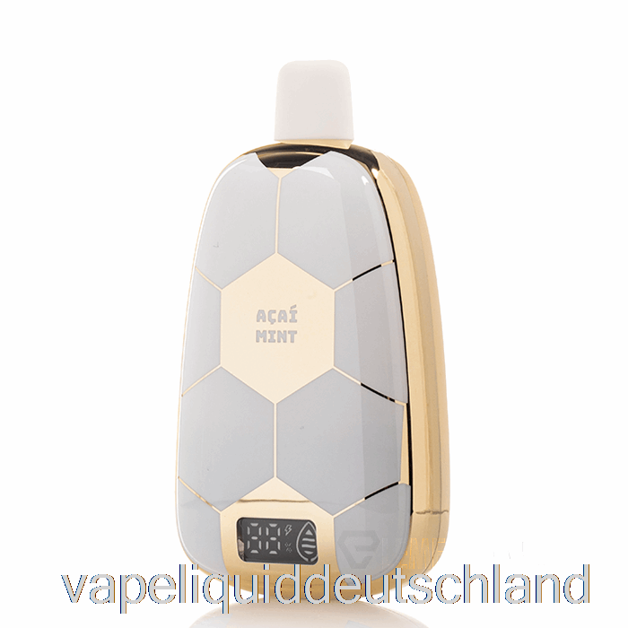 Ronaldinho 10 15k Einweg-Acai-Minze-Vape-Flüssigkeit
